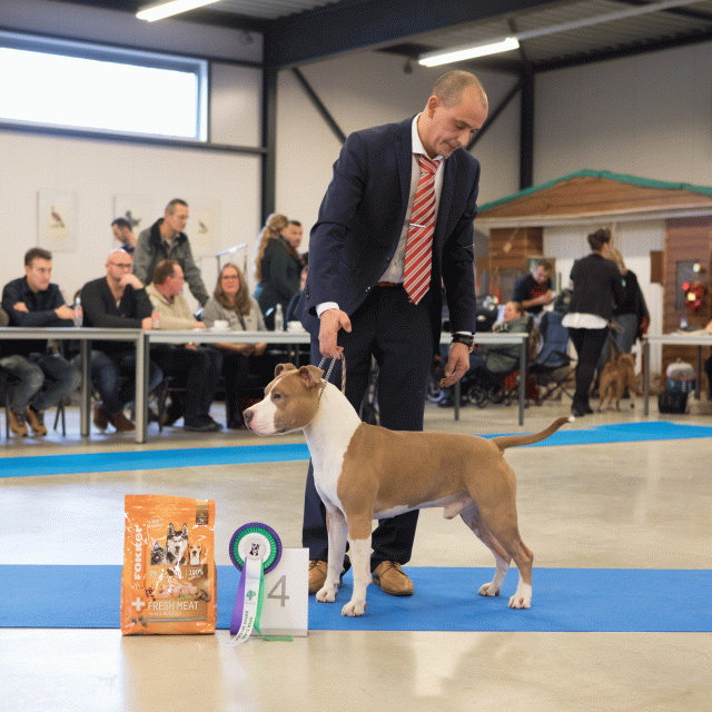 M36A0355 31227278591 O