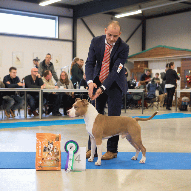 M36A0356 31227278821 O