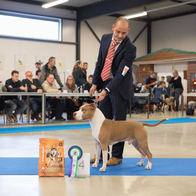 M36A0357 31198050382 O