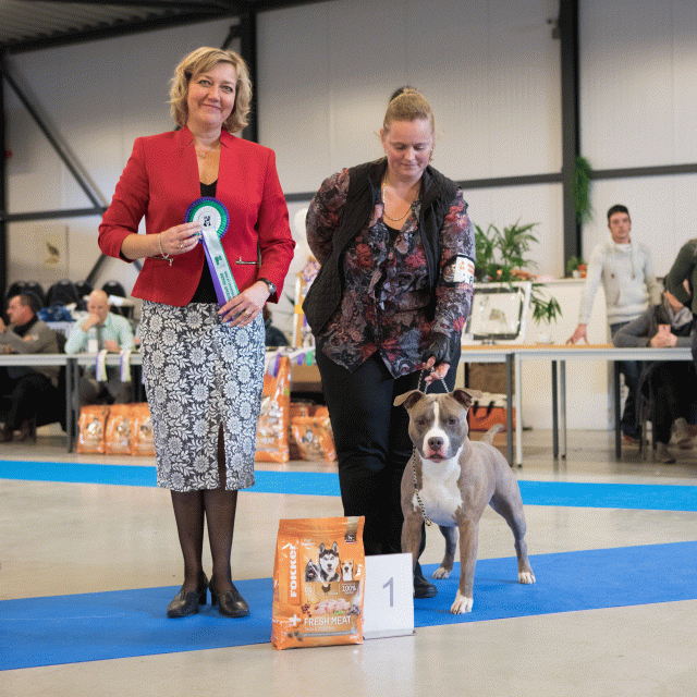 M36A0358 31198050152 O