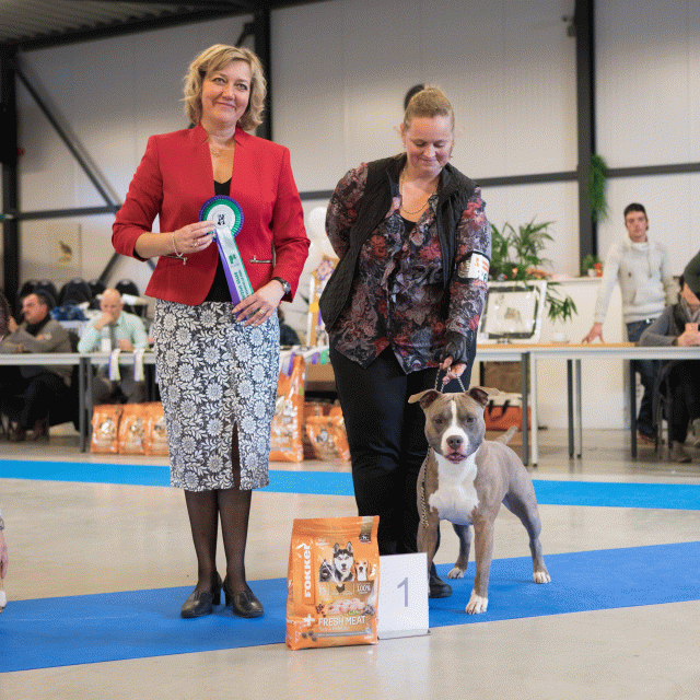 M36A0359 31227276251 O