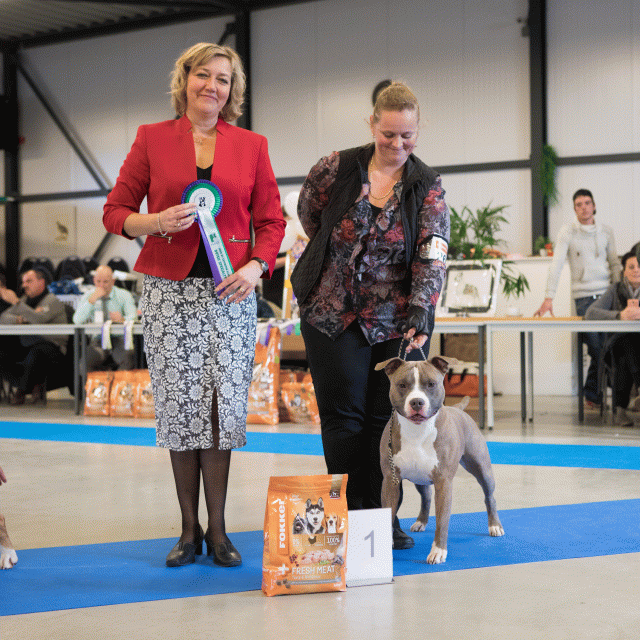 M36A0360 31227275561 O