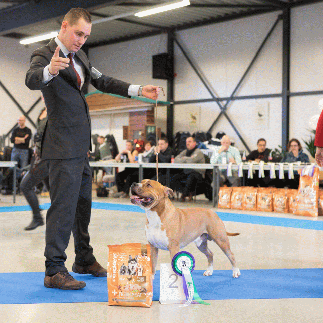 M36A0361 31198049212 O