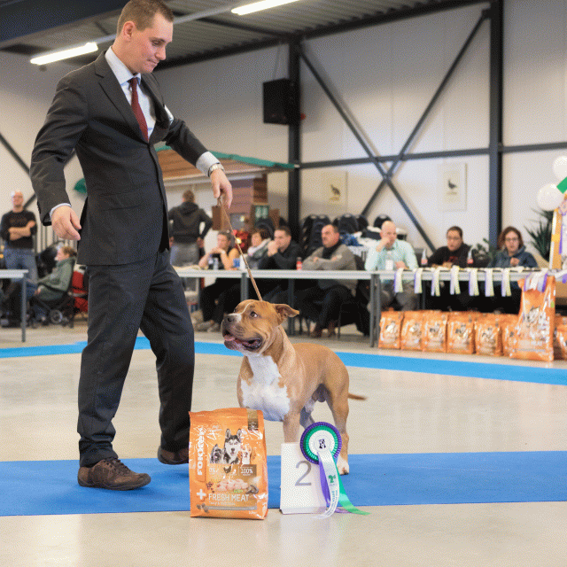 M36A0362 31227275731 O