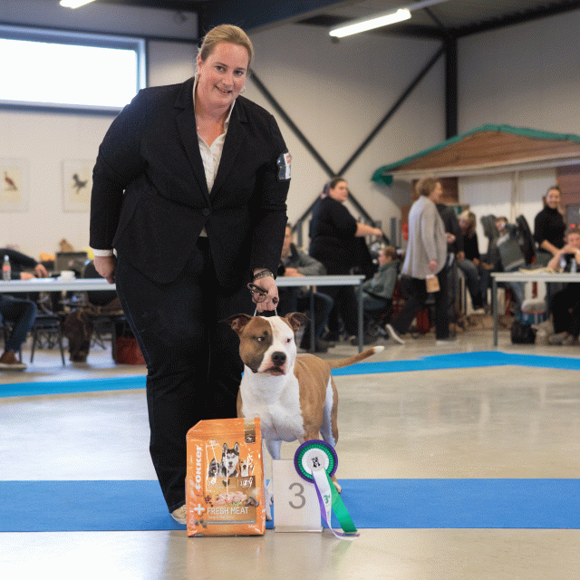 M36A0363 31198048052 O