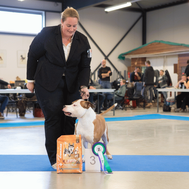 M36A0364 31198048262 O