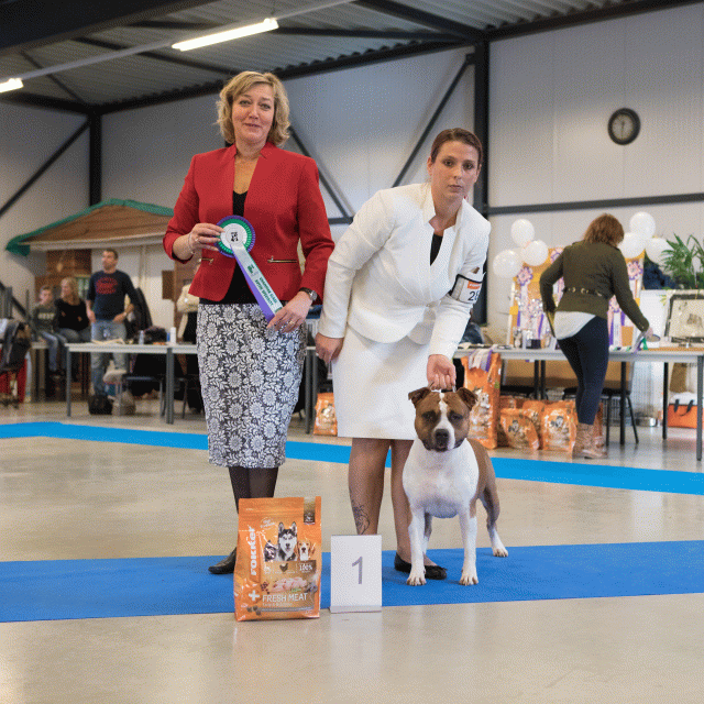 M36A0365 31198047562 O