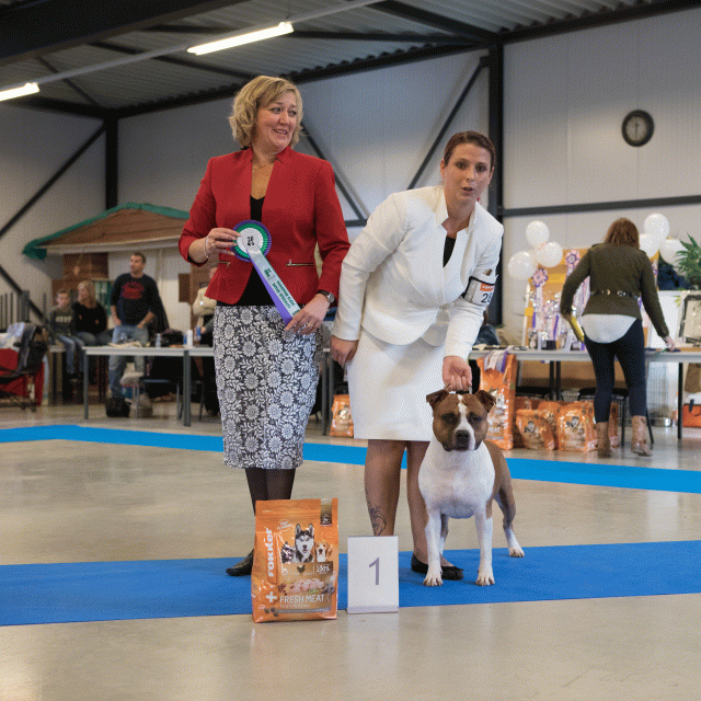 M36A0366 31227275651 O