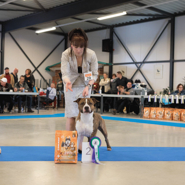 M36A0367 31227272061 O