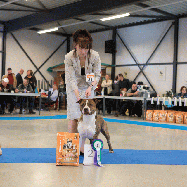 M36A0368 30973124010 O