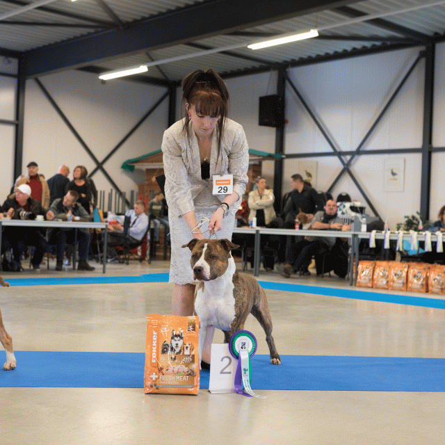 M36A0369 31306063156 O