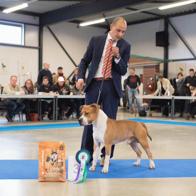 M36A0370 30973123640 O