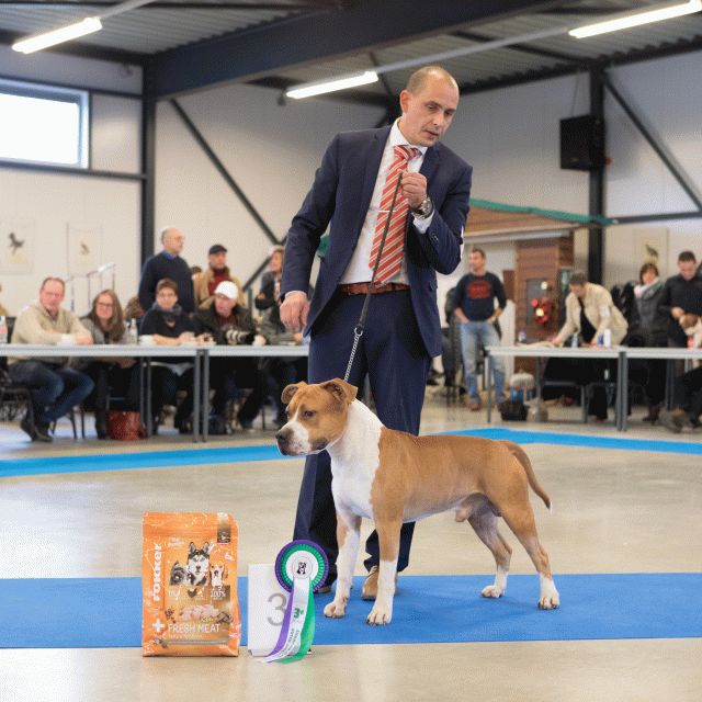 M36A0371 30973123090 O