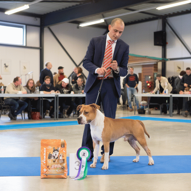 M36A0372 30973122780 O