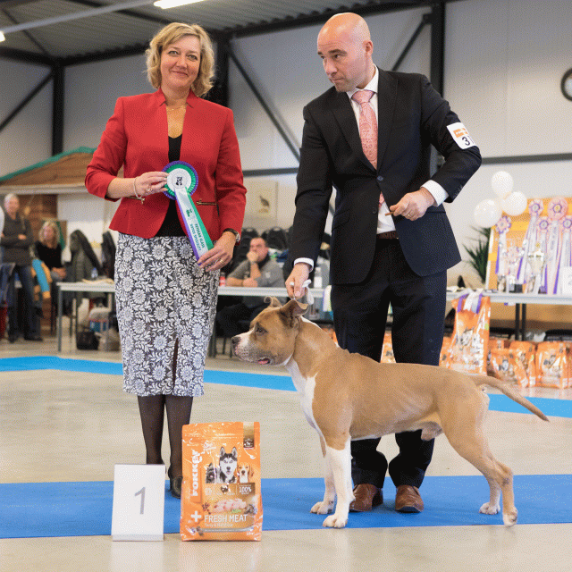 M36A0373 30973122520 O