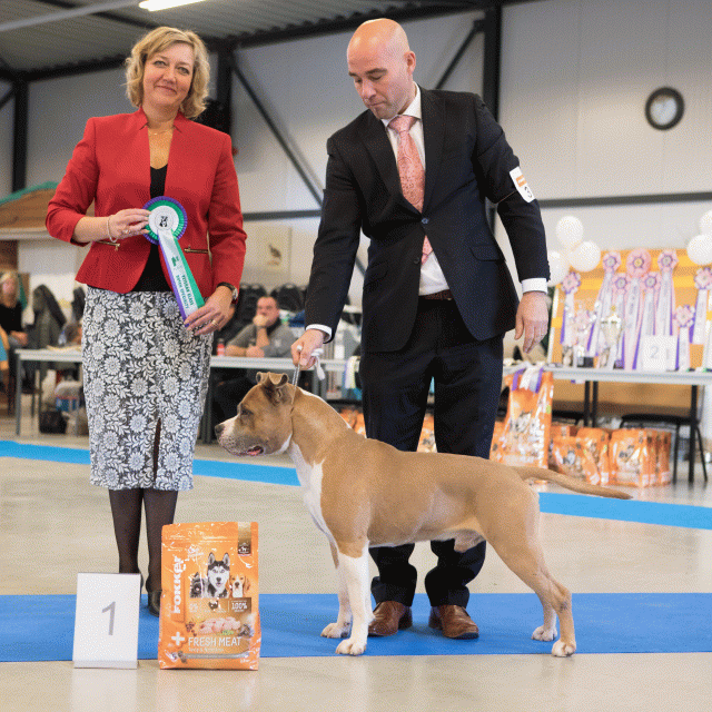 M36A0374 31227270991 O