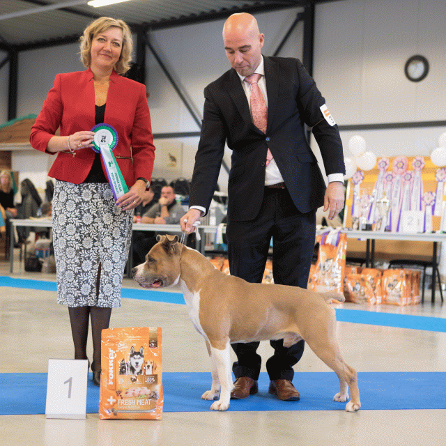 M36A0375 30973122180 O