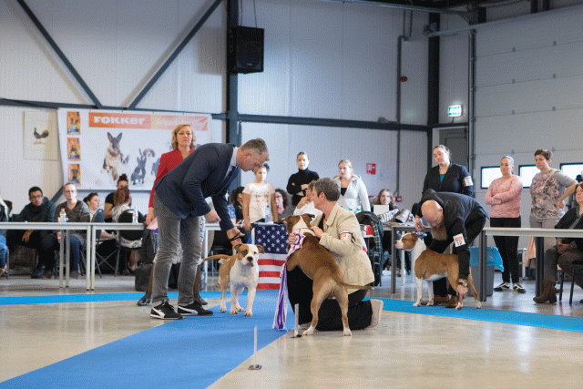 M36A0377 30973121670 O