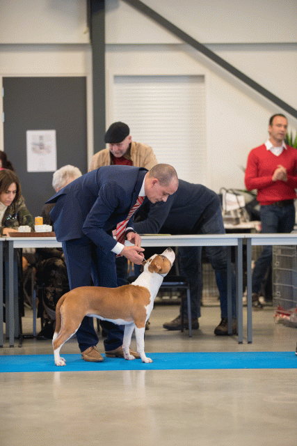 Bo4I0551 31342258115 O