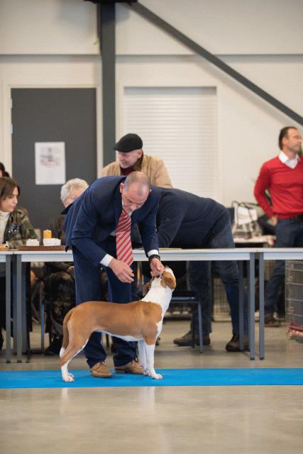 Bo4I0552 30973170060 O