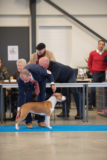 Bo4I0553 30973170580 O