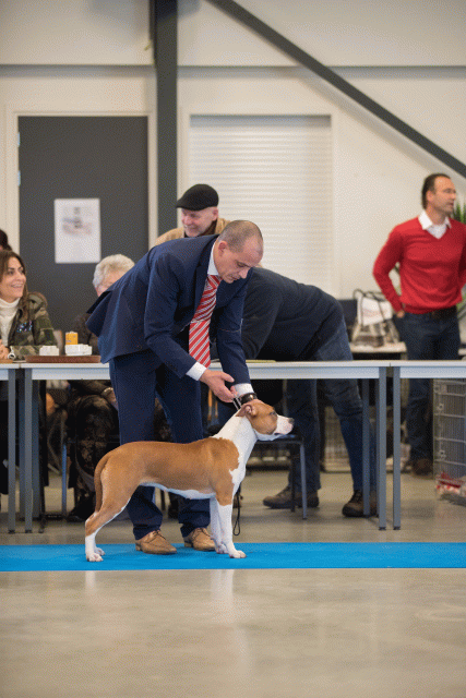 Bo4I0554 30973170530 O