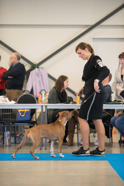 Bo4I0555 31306114316 O