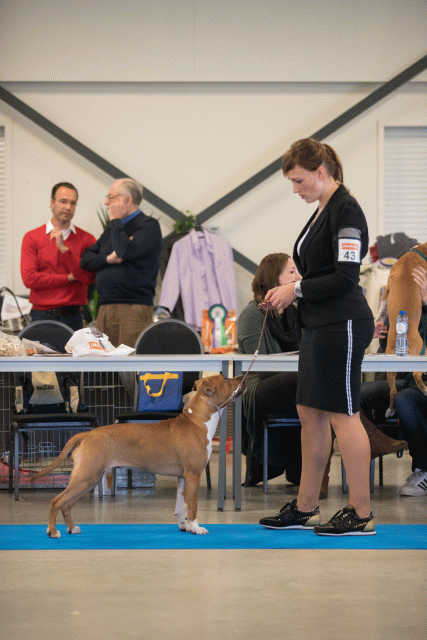 Bo4I0556 30973169000 O