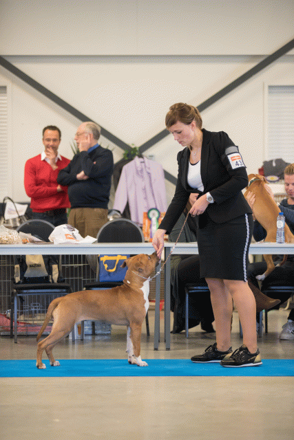 Bo4I0557 31342257335 O