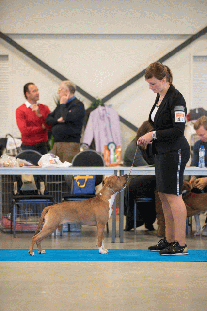 Bo4I0558 31306113646 O