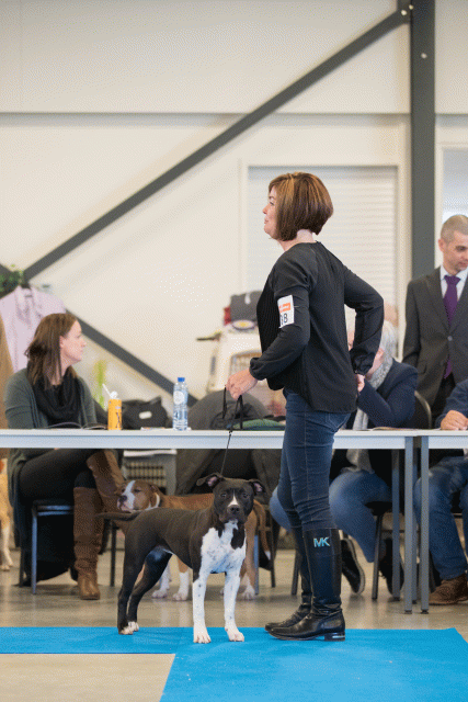 Bo4I0559 31198093452 O