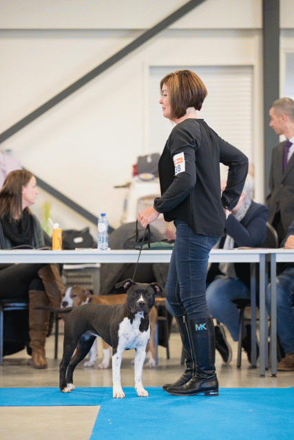 Bo4I0560 30973168260 O