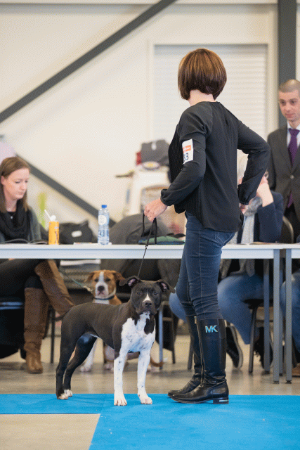 Bo4I0561 31342257015 O