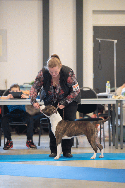 Bo4I0562 31198092962 O