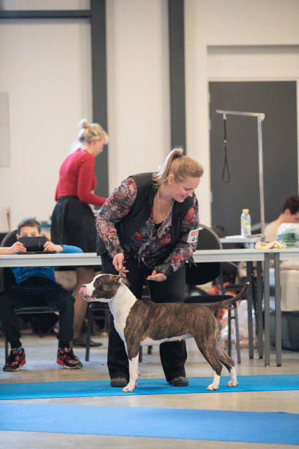 Bo4I0563 31306112766 O