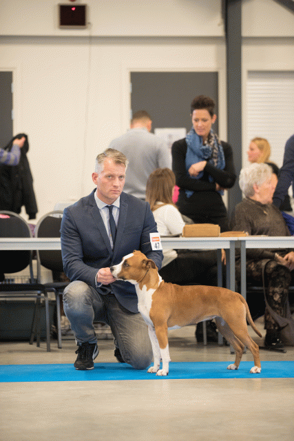 Bo4I0564 31306111396 O