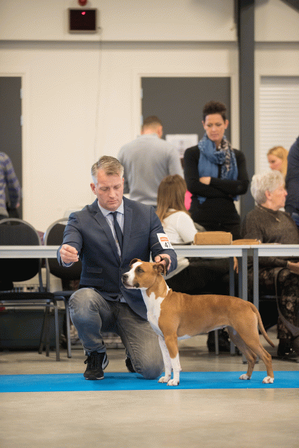 Bo4I0565 30973167160 O