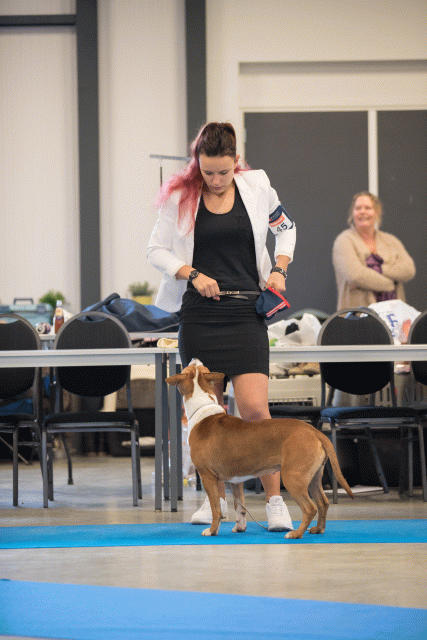 Bo4I0567 31306110726 O