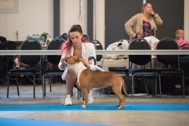 Bo4I0568 31198090982 O