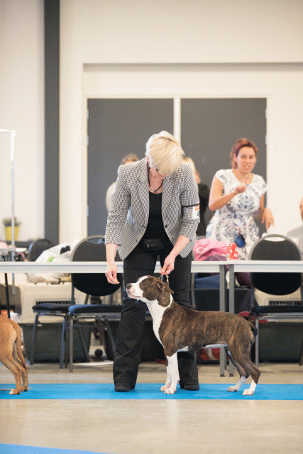 Bo4I0569 30973166400 O