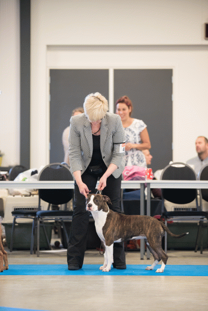 Bo4I0570 31342256095 O