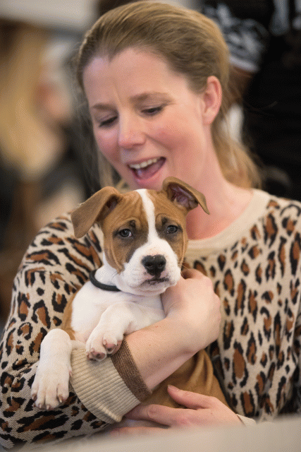 Bo4I0573 31306108756 O