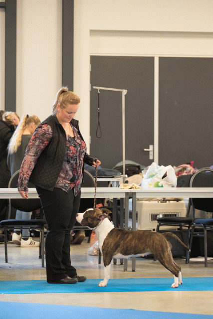 Bo4I0575 31342255435 O