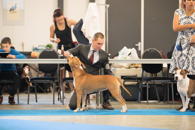 Bo4I0576 30973165600 O