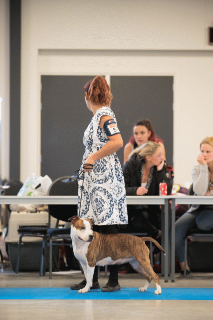 Bo4I0577 30973163950 O