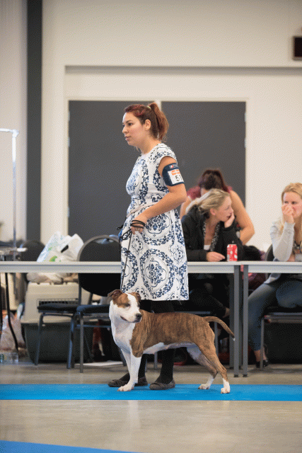 Bo4I0578 30519758774 O