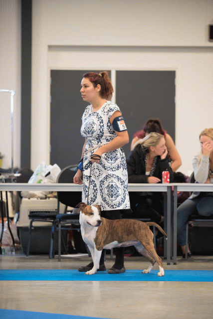 Bo4I0579 31306106786 O