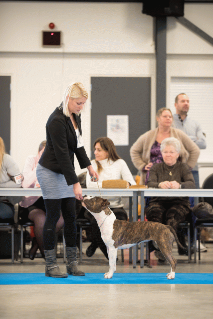 Bo4I0580 31198087572 O