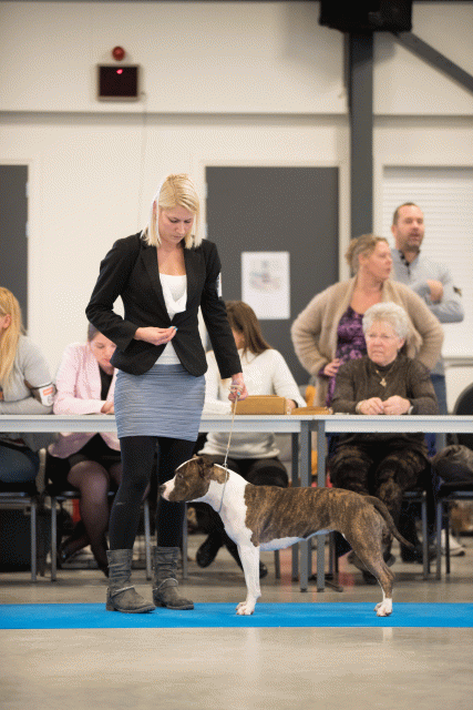 Bo4I0581 31198087232 O