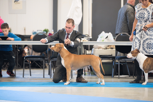 Bo4I0582 31198087062 O